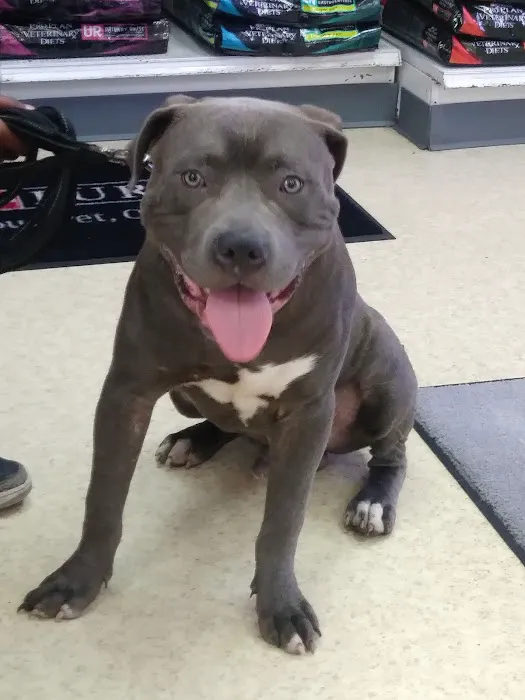 Hickman Mills Animal Hospital Picture 7