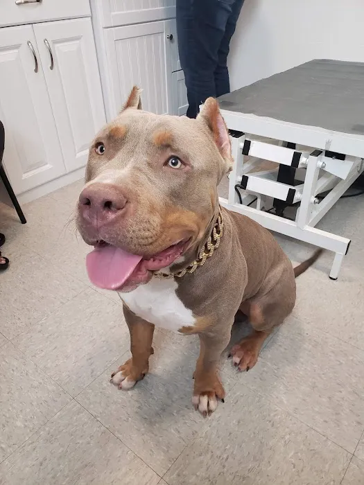 Healthy Pet Wellness Center Picture 1