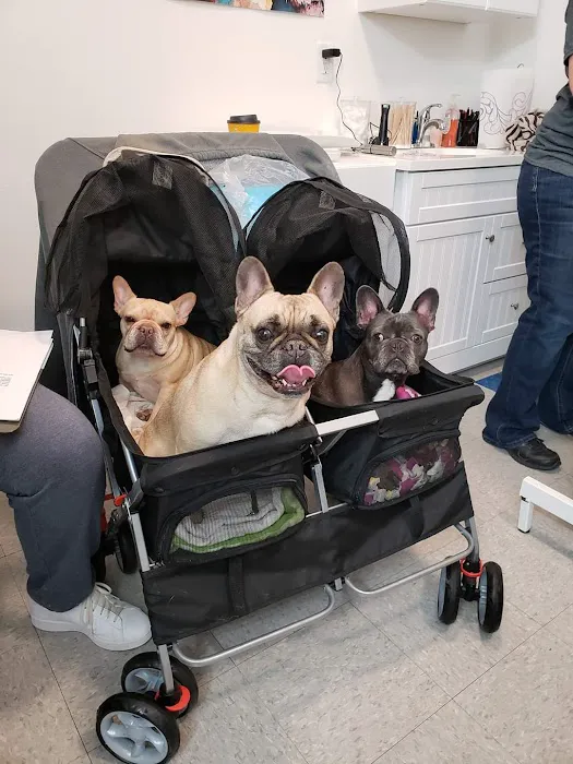 Healthy Pet Wellness Center Picture 7