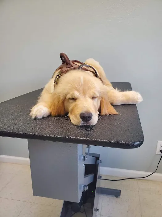 Healthy Pet Wellness Center Picture 6
