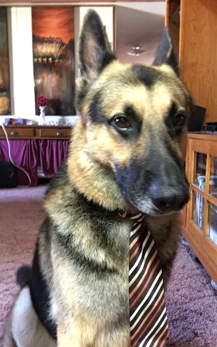 R Veterinary at Cross Creek Picture 3