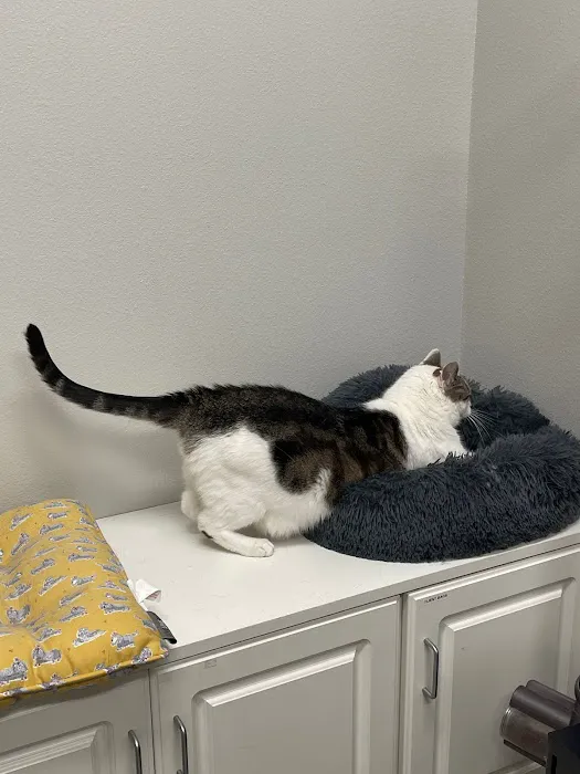 R Veterinary at Cross Creek Picture 8