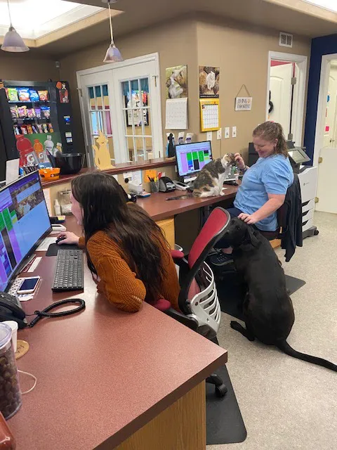 R Veterinary at Cross Creek Picture 7