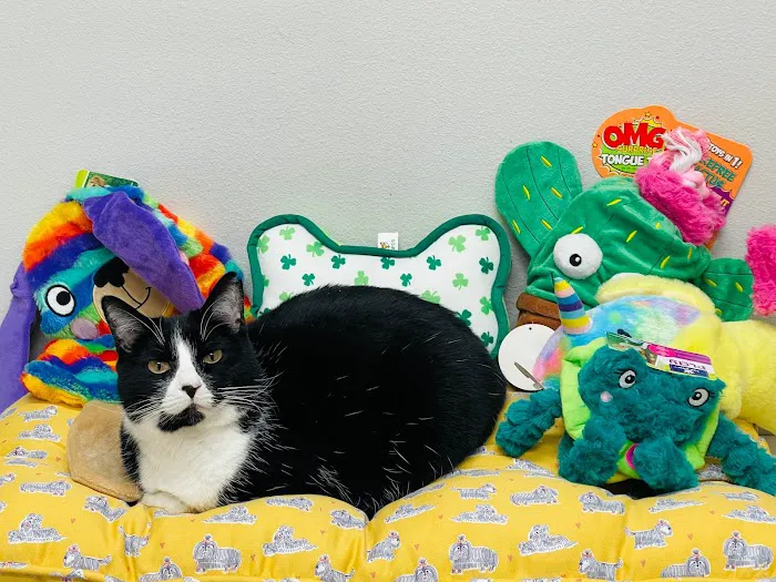 R Veterinary at Cross Creek Picture 10