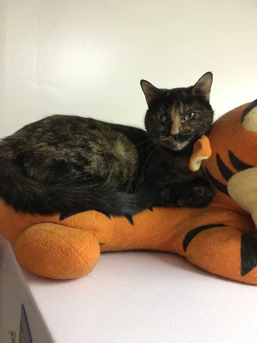 Best Friends Animal Hospital Picture 2