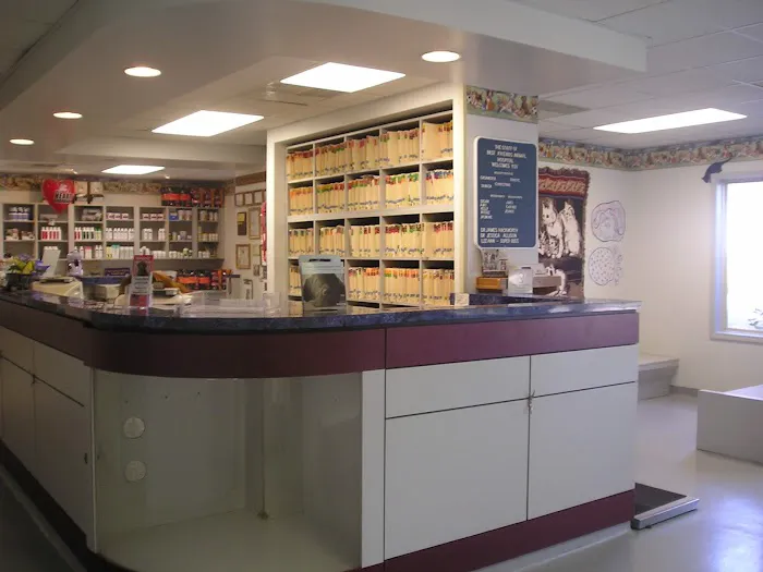 Best Friends Animal Hospital Picture 1