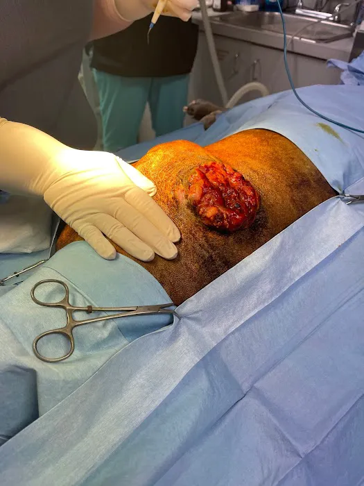 Best Friends Animal Hospital Picture 5