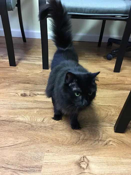 Best Friends Animal Hospital Picture 7