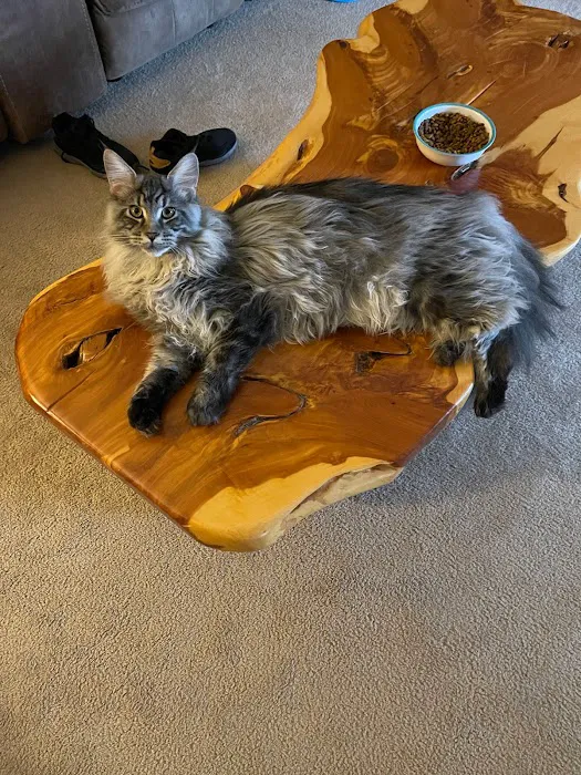 Best Friends Animal Hospital Picture 9