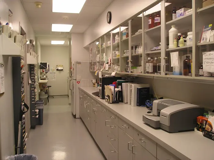 Best Friends Animal Hospital Picture 8