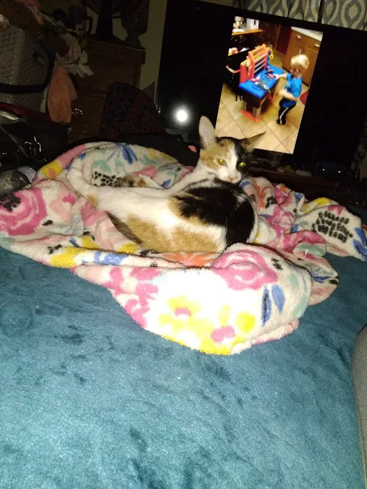 Oakland Animal Hospital Picture 7