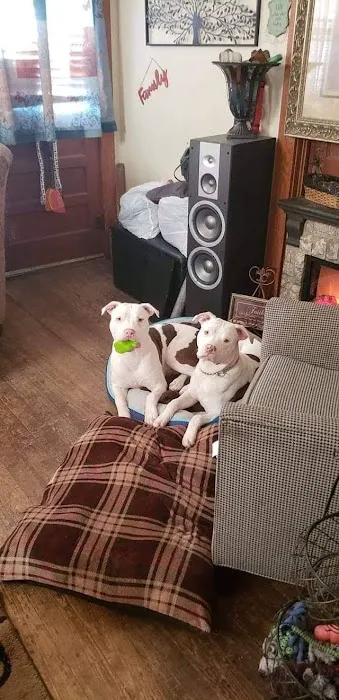 Oakland Animal Hospital Picture 8