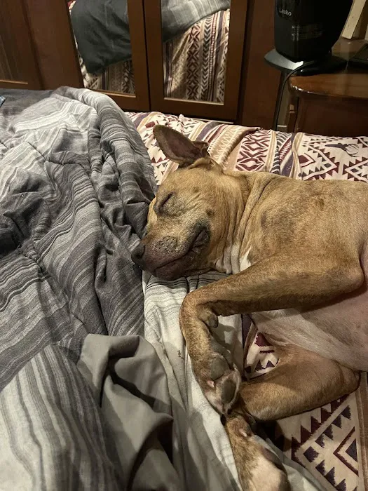 Lebanon Veterinary Clinic Picture 1