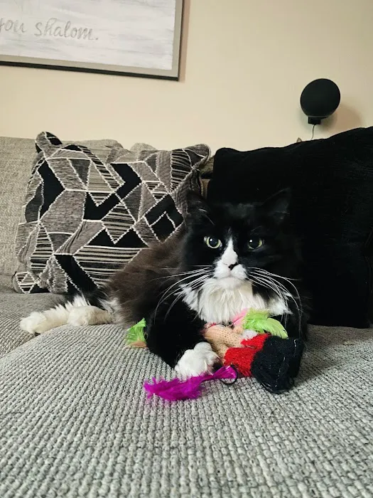 Lebanon Veterinary Clinic Picture 3