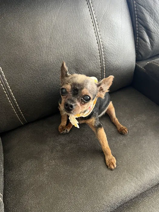 Lebanon Veterinary Clinic Picture 4