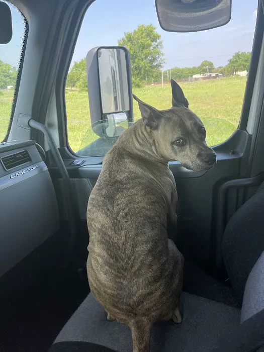 Lebanon Veterinary Clinic Picture 2