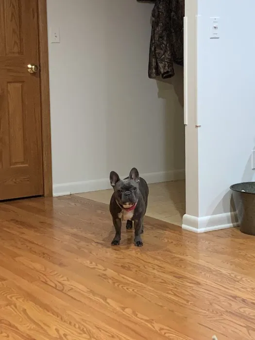 Lebanon Veterinary Clinic Picture 6