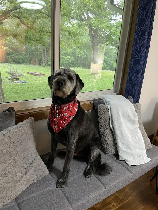 Lebanon Veterinary Clinic Picture 8