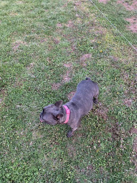 Lebanon Veterinary Clinic Picture 5