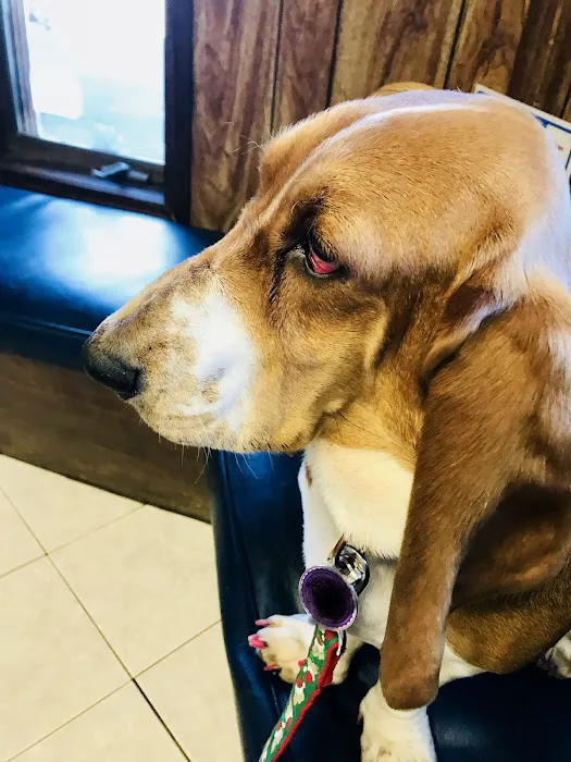 Terra Veterinary Services Inc Picture 3