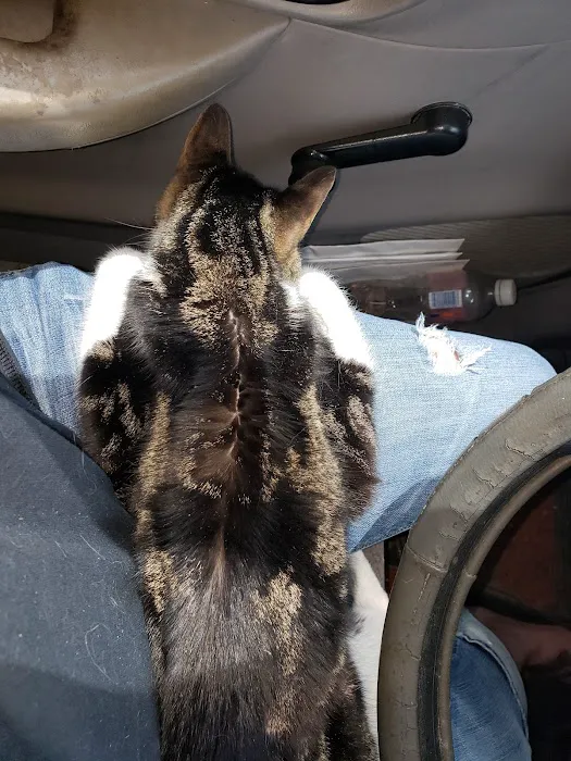 Terra Veterinary Services Inc Picture 2