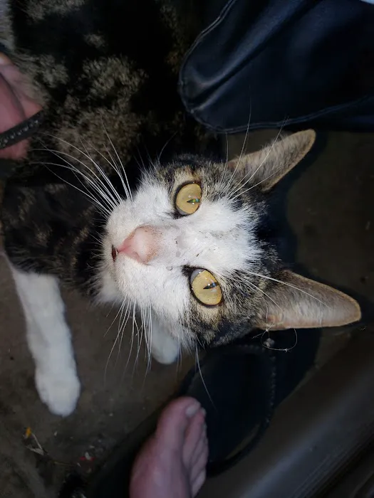 Terra Veterinary Services Inc Picture 1