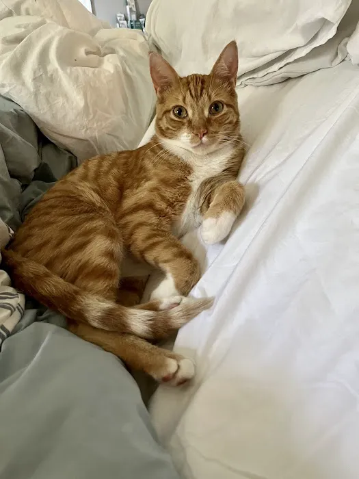 Terra Veterinary Services Inc Picture 5