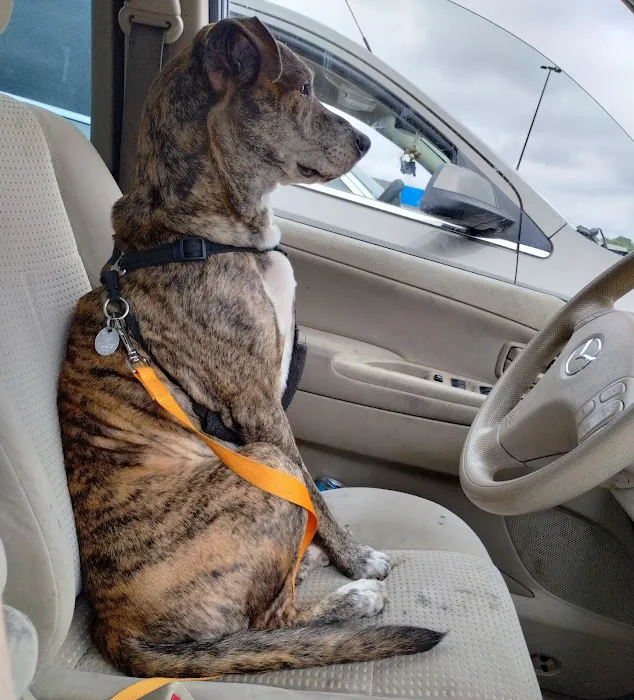 Terra Veterinary Services Inc Picture 7