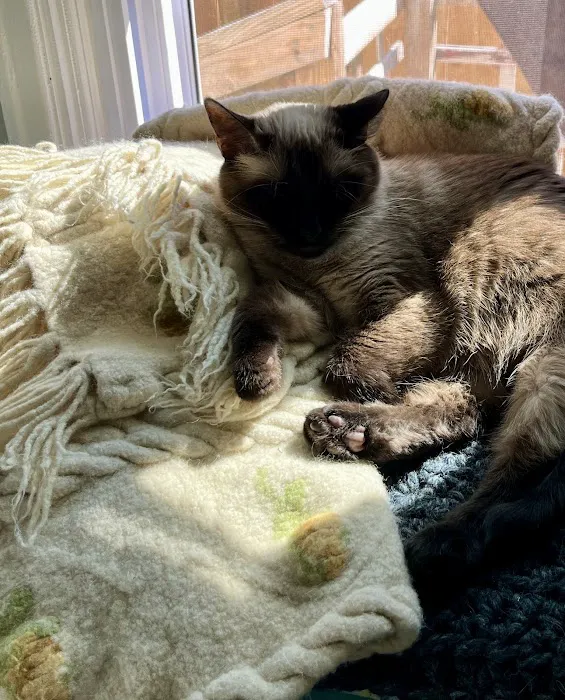 Terra Veterinary Services Inc Picture 6