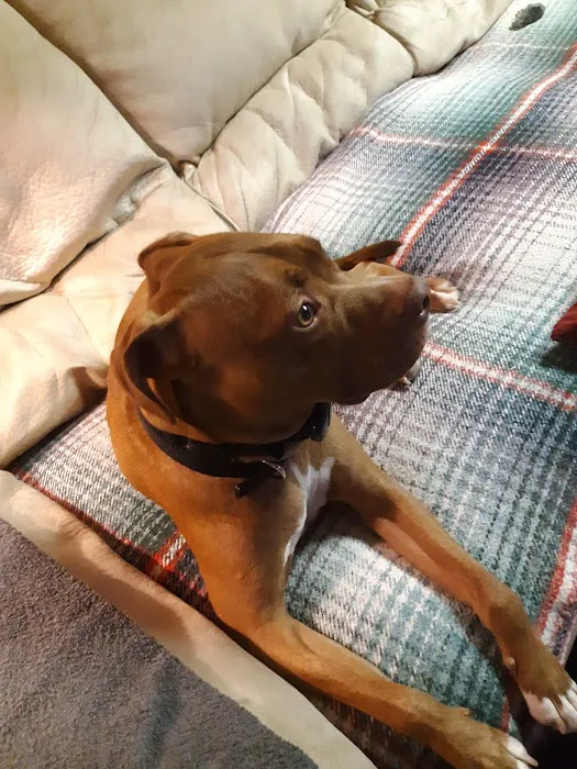 Terra Veterinary Services Inc Picture 8