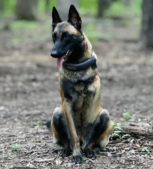 Terra Veterinary Services Inc Picture 9