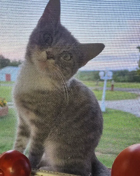 Howerton Animal Hospital llc Picture 2