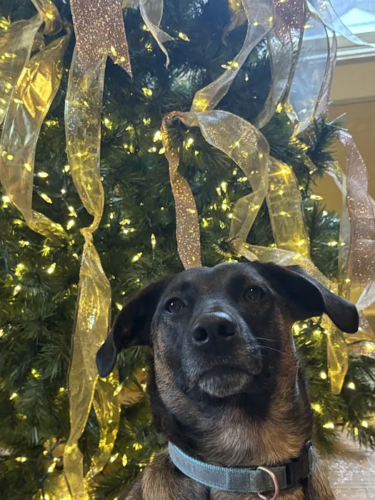 Howerton Animal Hospital llc Picture 3