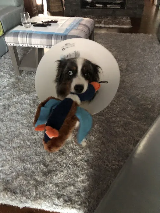 Howerton Animal Hospital llc Picture 7