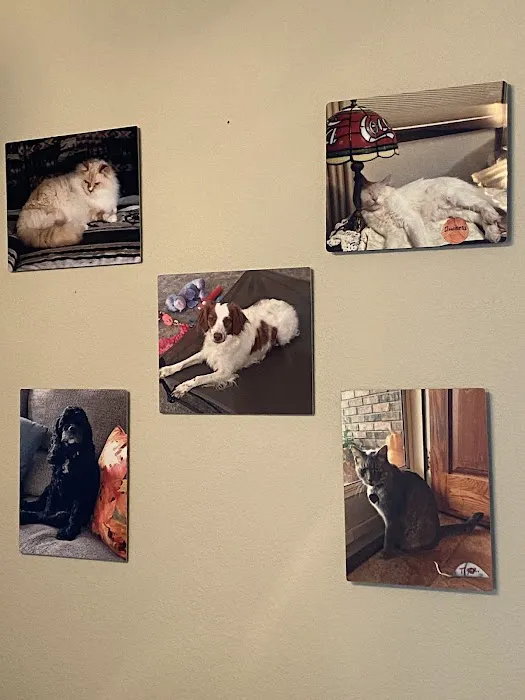 Howerton Animal Hospital llc Picture 9