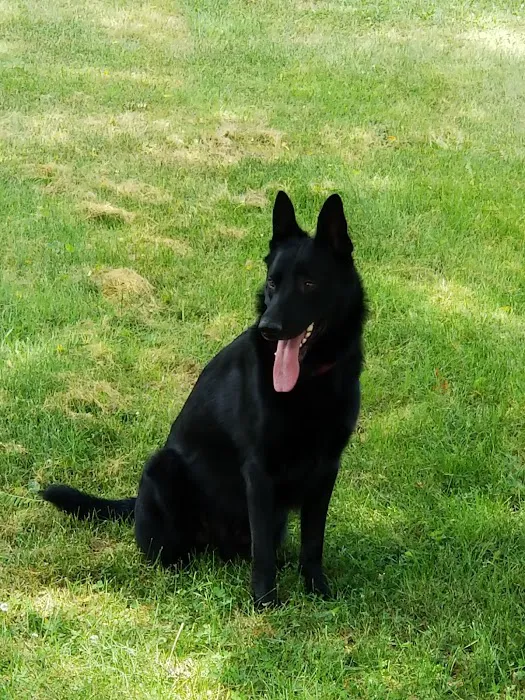 Veterinary Treatment Facility Picture 1