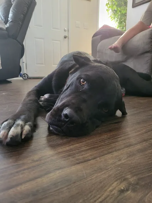 Veterinary Treatment Facility Picture 2