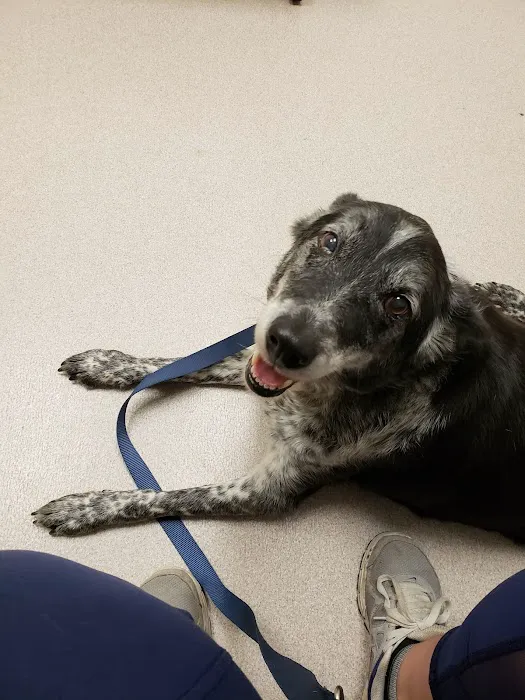 Veterinary Treatment Facility Picture 4