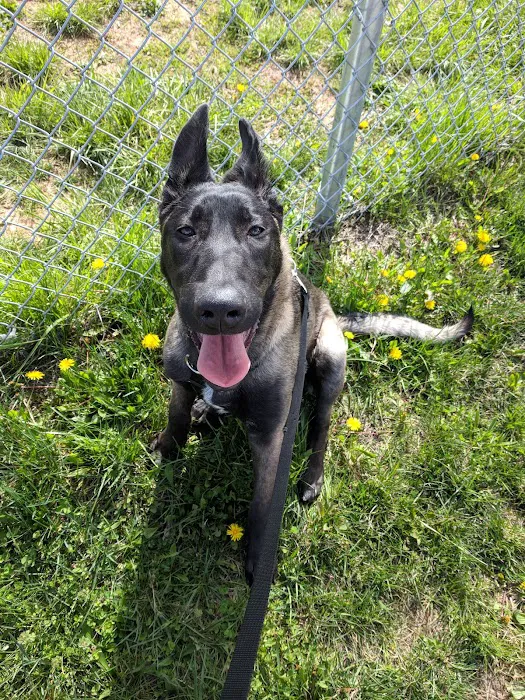 Veterinary Treatment Facility Picture 6