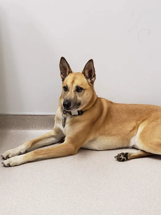 Veterinary Treatment Facility Picture 5