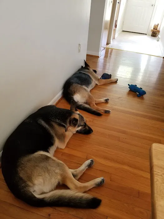 Veterinary Treatment Facility Picture 3