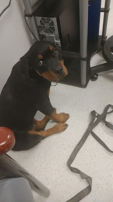 Veterinary Treatment Facility Picture 8