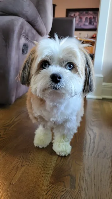 Warrensburg Animal Hospital Picture 4