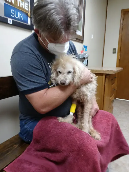 Warrensburg Animal Hospital Picture 1