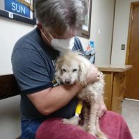 Warrensburg Animal Hospital ico