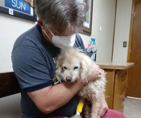 Warrensburg Animal Hospital