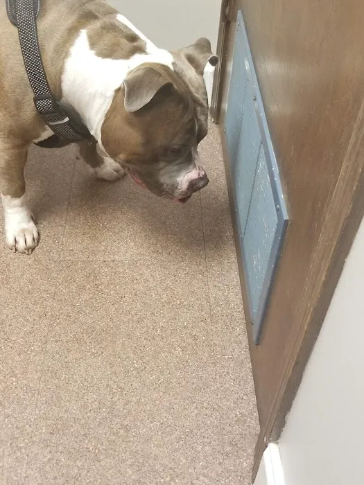 Warrensburg Animal Hospital Picture 5