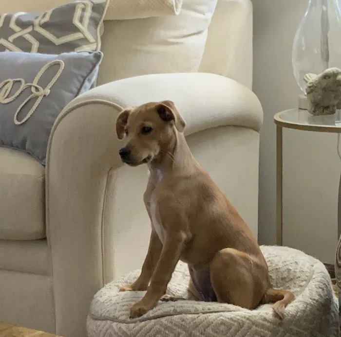 Warrensburg Animal Hospital Picture 2