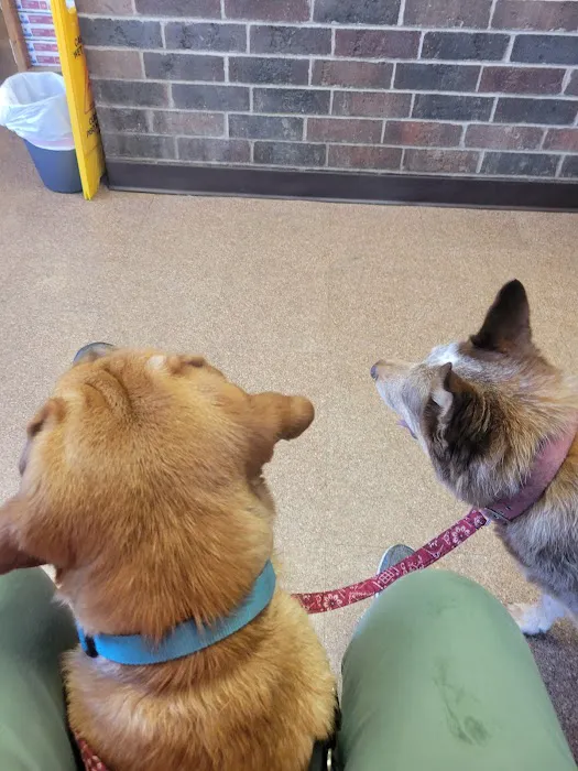 Warrensburg Animal Hospital Picture 8