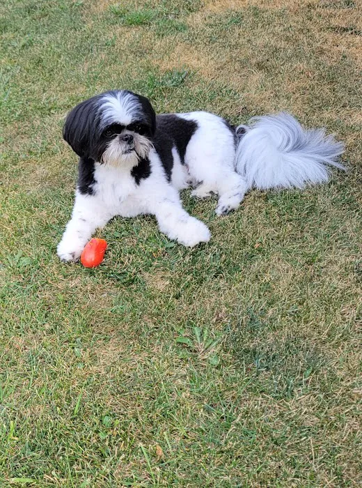 Warrensburg Animal Hospital Picture 6